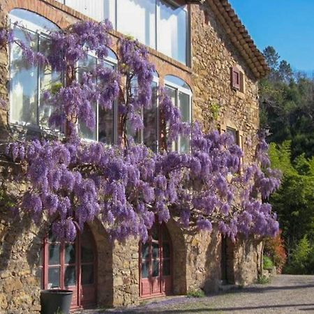 Chambre D'Hote Mas D'Alzon A St Jean Du Pin La Barriere Exterior photo